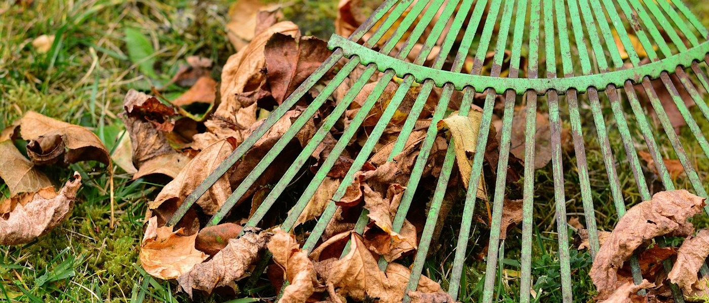 Rake and Leaves. Photo from Pixaby.