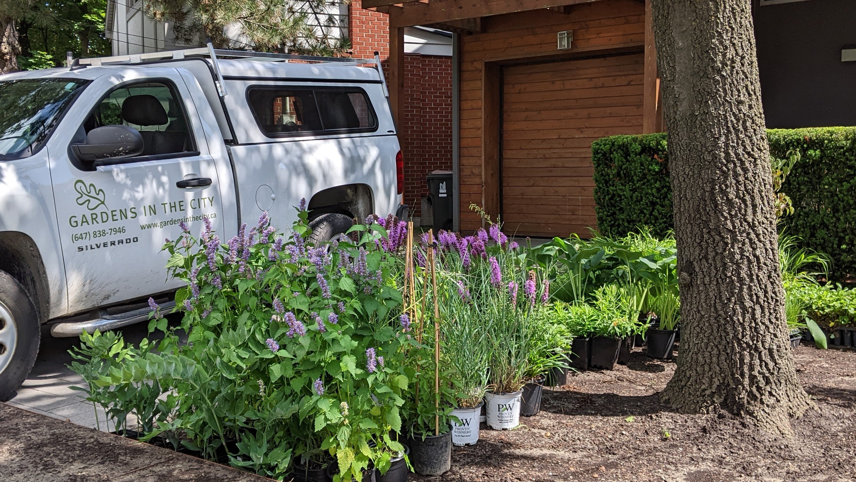 Larger Order with Plants in the City Truck