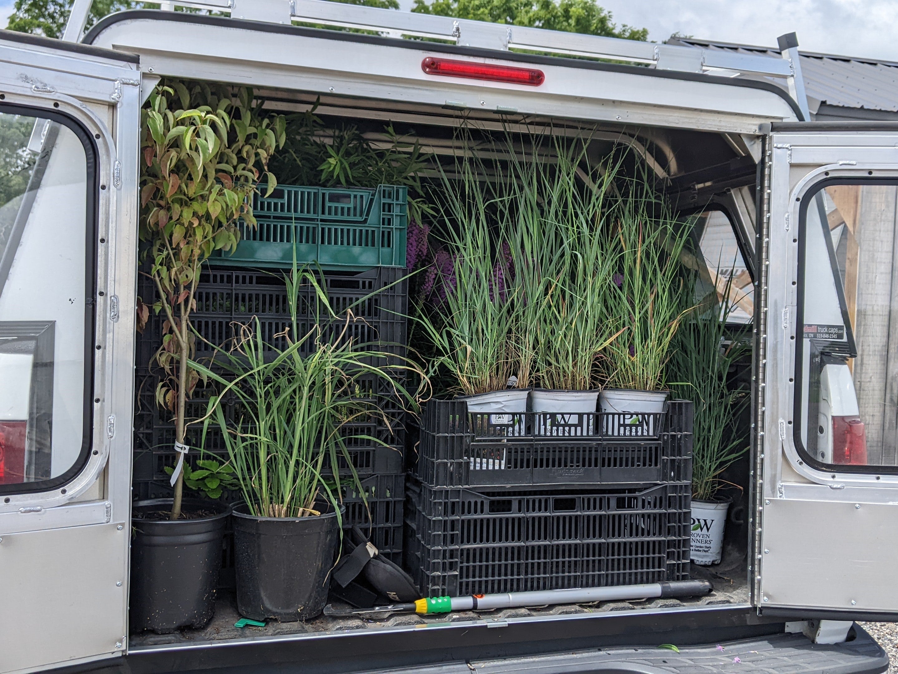 Bigger Order in Plants in the City Truck