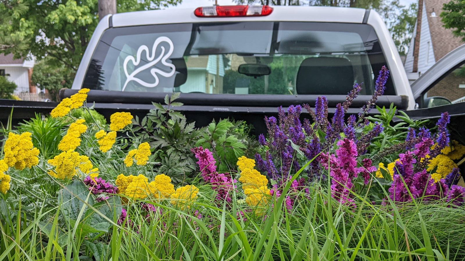 Blooms in Plants in the City Truck