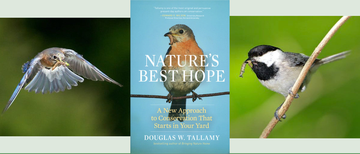 Picture of Nature's Best Hope Book Cover and Bluebird and Chickadee with worm, photo credit Doug Tallamy, photos have been altered. 