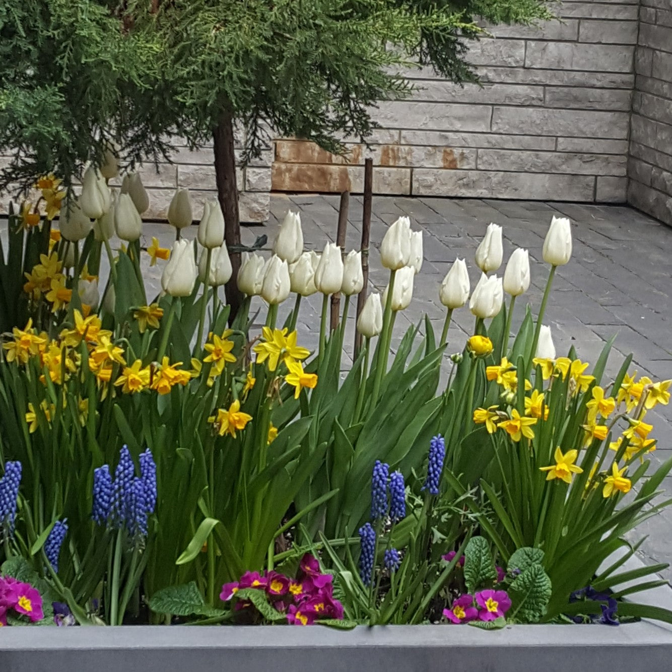 Spring Planter Image Credit: Chaz Morenz