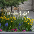 Spring Planter Image Credit: Chaz Morenz