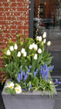 White and Blue Spring Planter Image Credit: Chaz Morenz