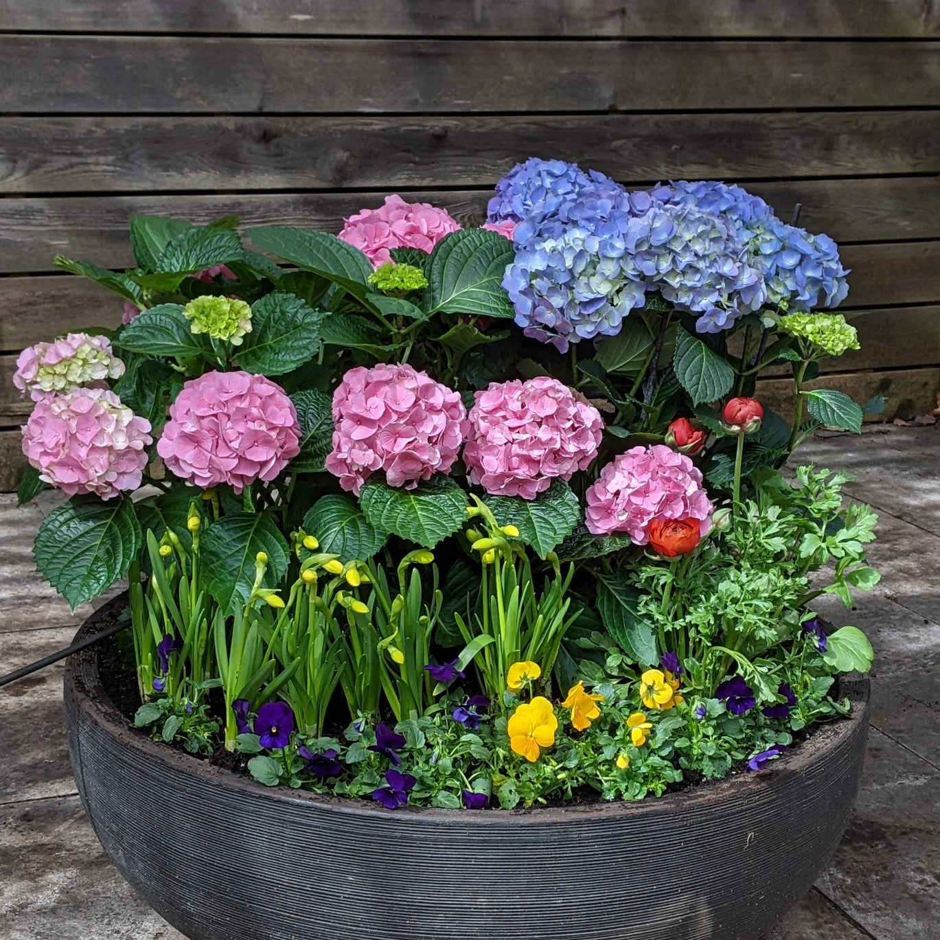 Large Spring Planter Image Credit: Chaz Morenz