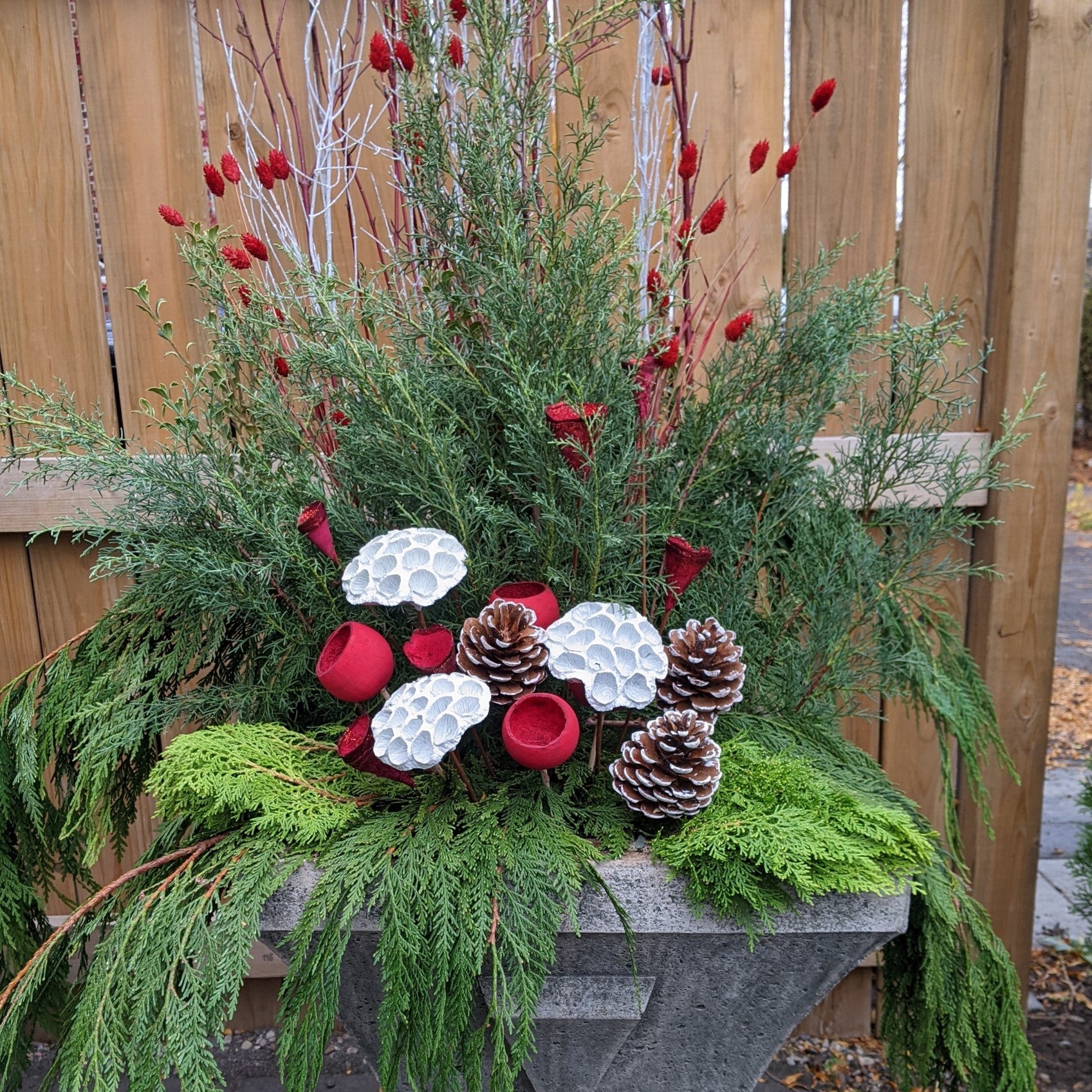 Winter planter candy cane colours