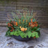 Winter Planter with orange and brown elements