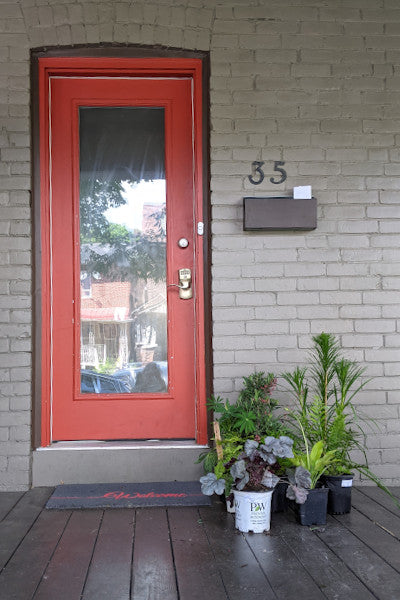 Plant Delivery to your Front Door, image credit Chaz Morenz