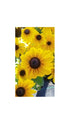 Rudbeckia hirta Indian Summer Black-eyed Susan 2 Image Credit: Millgrove Perennials